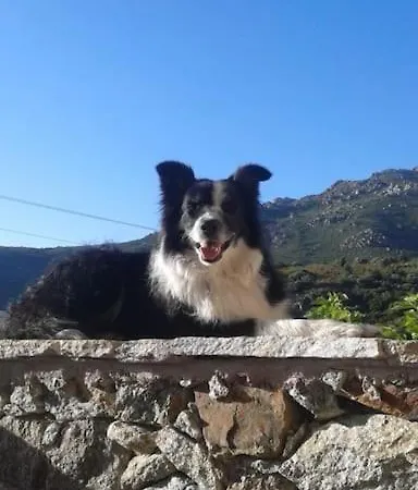 Sejour Detente Balagne Entre Et Montagne