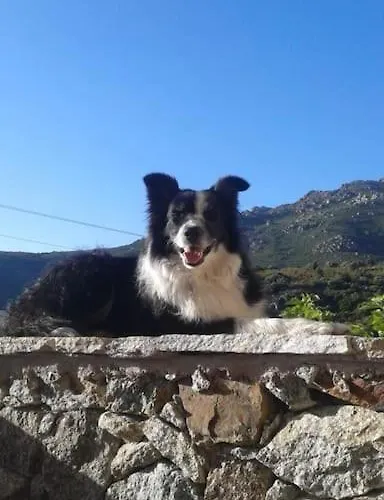 Sejour Detente Balagne Entre Et Montagne
